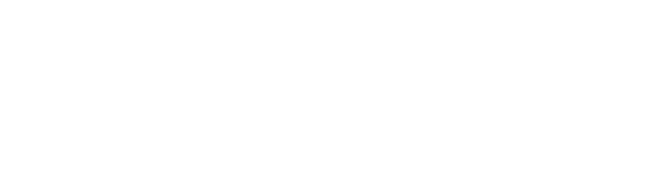 Wellcom Group